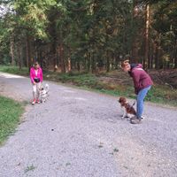 Social Walk - Hundebegegnung3