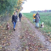 Social Walk im Herbst (4)